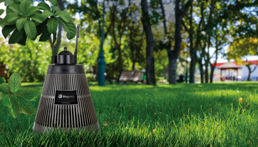 FAQ PEP Moustique : tout ce qu’il faut savoir avant de choisir