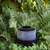 Pack 2 Pièges anti-ponte BG-GAT – Spécial moustique tigre + fiches collantes - Offre ville de  Villenouvelle