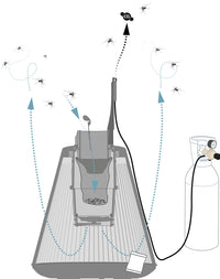 BG PROTECTOR avec BG Timer + BG Booster + alimentation secteur - Offre ville de  Villenouvelle