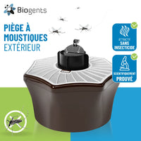 BG Mosquitaire spécial Mairie