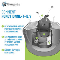 BG Mosquitaire spécial Mairie